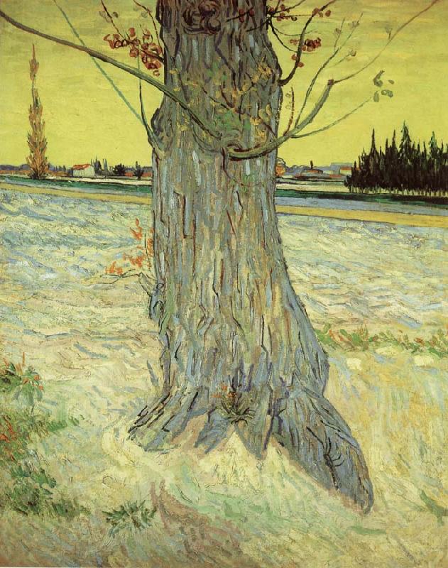 Vincent Van Gogh The Old yew tree oil painting image